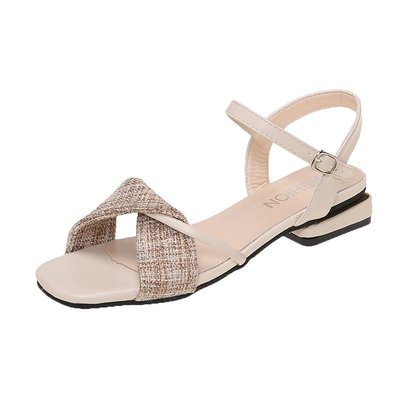 Mid-heel Thick-heeled Roman Shoes 2021 New Color Matching Net Red Fashion Sandals