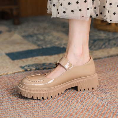 Japanese College Style Thick Heel With Skirt And Small Leather Shoes