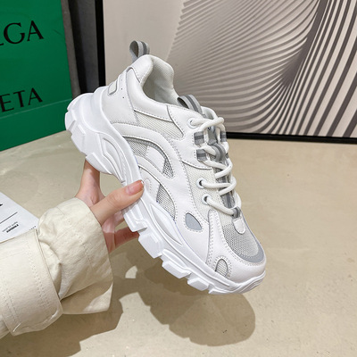 Thin Net Breathable Daddy Shoes Women Korean Street Style Sports Casual Women's Shoes