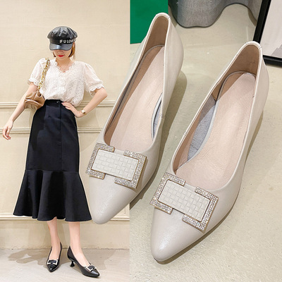 Spring New Shallow Mouth Pointed Toe Fashion Women's Shoes